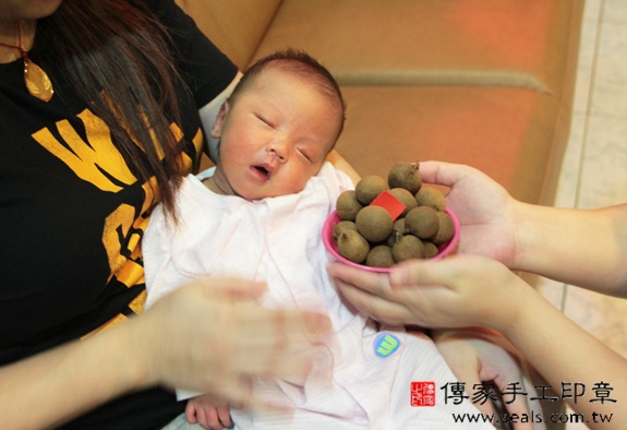 陳寶寶(新北中和區到府嬰兒寶寶滿月剃頭理髮、免費到府嬰兒剃胎毛儀式吉祥話)。到府剃頭剃胎毛主持、專業拍照、DVD光碟、證書。★購買「臍帶章、肚臍章、胎毛筆刷印章」贈送：剃頭、收涎、抓周，三選一。2015.11.18 照片8